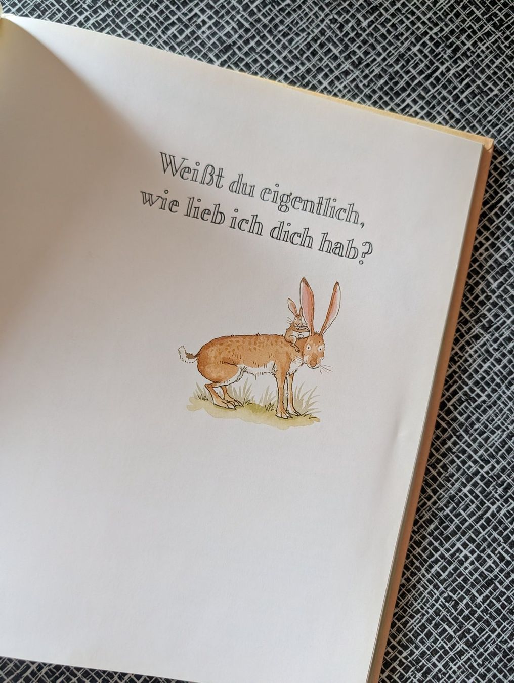 Libri: Kinderbuch "Weisst du eigentlich, wie lieb ich dich hab?" – Usato da Nänikon venduto da Haexli_70 1