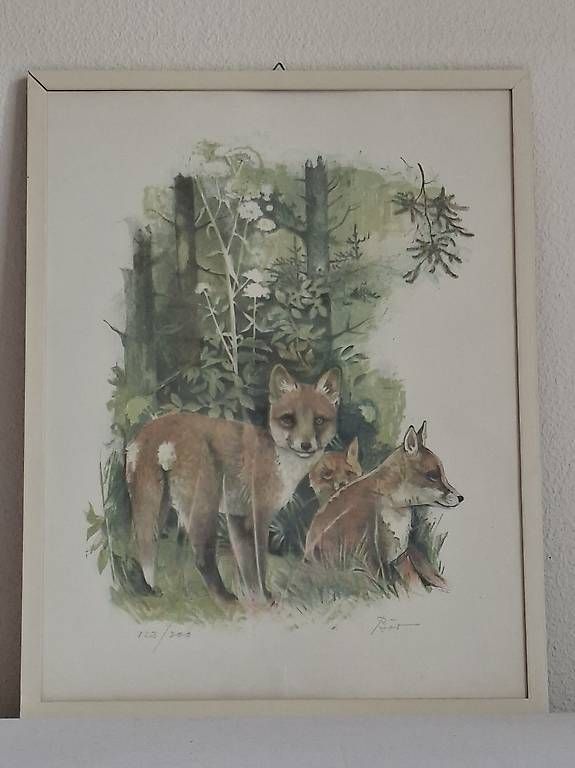 Foto & Immagini: Fuchsfamilie von Willy Bär – Usato da Wabern venduto da amo_pp26