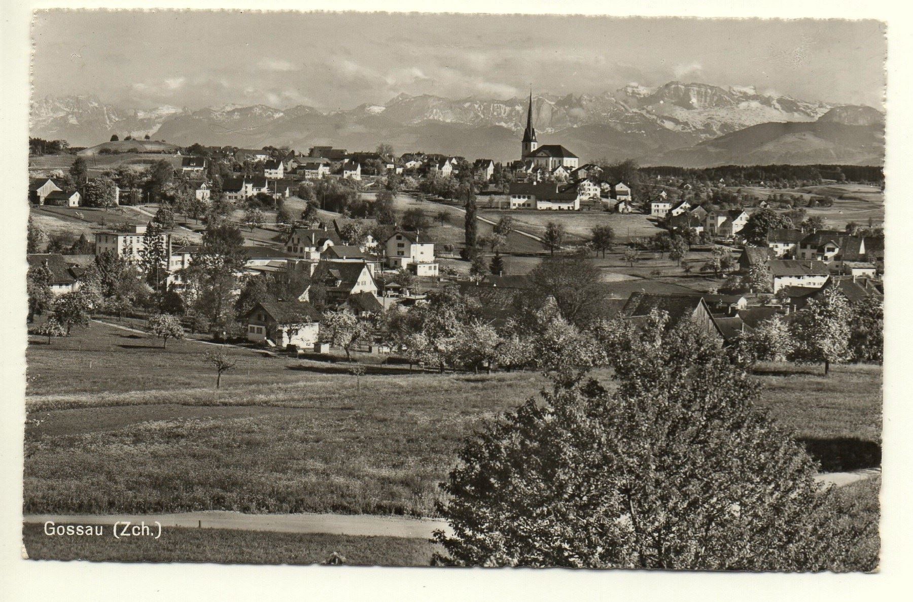 Cartoline postali: GOSSAU Zch. – Usato da Jona venduto da philajona