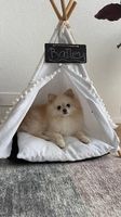 Hundezelt / Tipi Zelt für Hunde