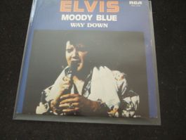Elvis