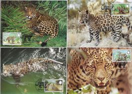 1983: Belize Jaguar 4 Maxi-PK + Serie Mi Nr.719-722 **
