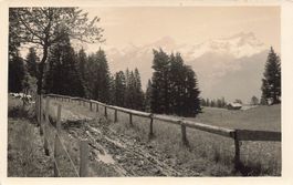 Alpenschweiz (CH) – Feldweg mit Blick auf die Alpen