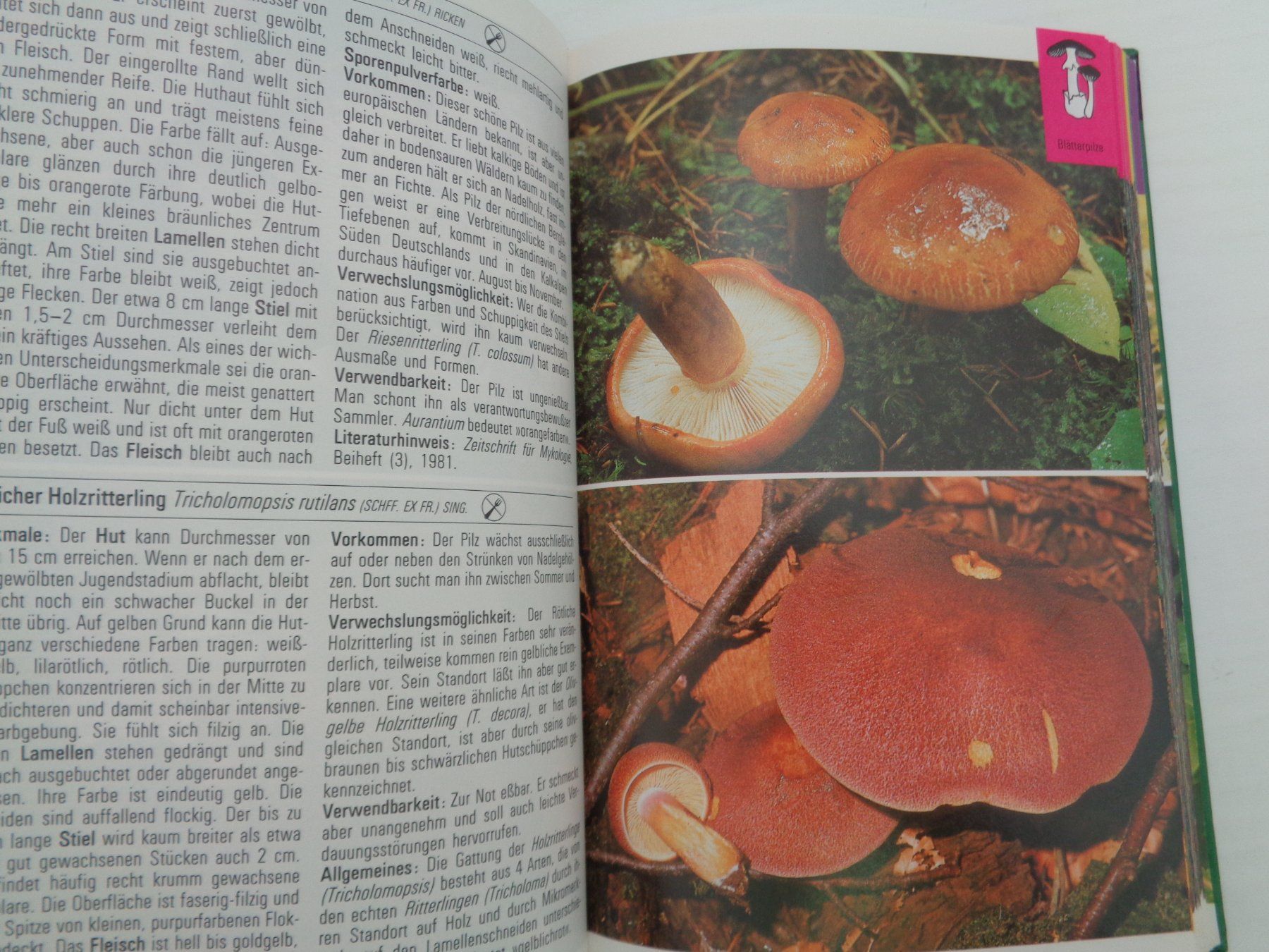 Libri: Pilze - die farbigen Naturführer – Usato da Chur venduto da Oregano1 5
