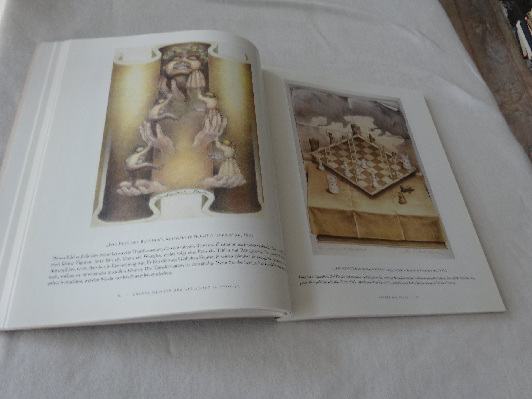 Libri: Meisterwerke Optischen Illusionen Al Seckel – Usato da Neerach venduto da jenny062 6