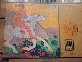 Fleetwood Mac Then Play On LP Vinyl