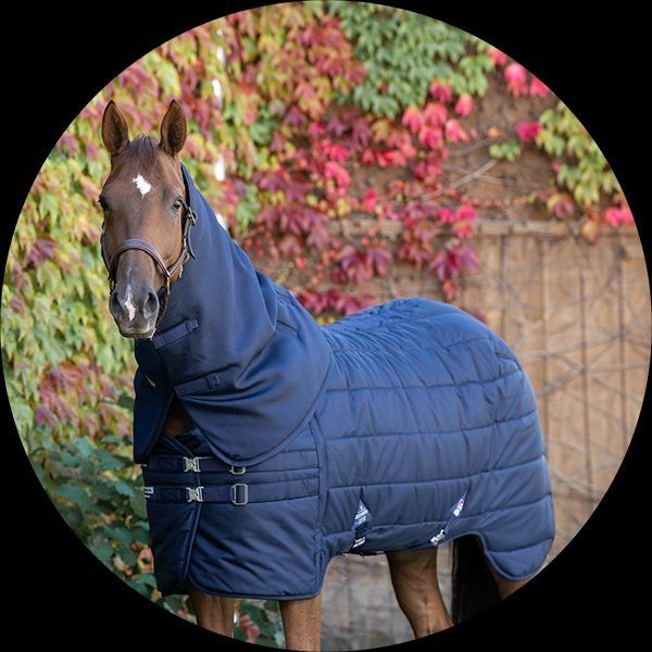 Coperte: Winderen Stalldecke, Thermoactive inkl. Halsteil, 155cm – Usato da Neerach venduto da van_s28z