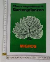 Migros Gartenpflanzen Ratgeber - Pflanzanleitung Top Zustand
