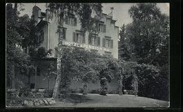 AK Au /Zürichsee, Hotel und Pension Au