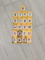 Fifa World cup WC 2026 Panini 21 Goldene Sammelkarten
