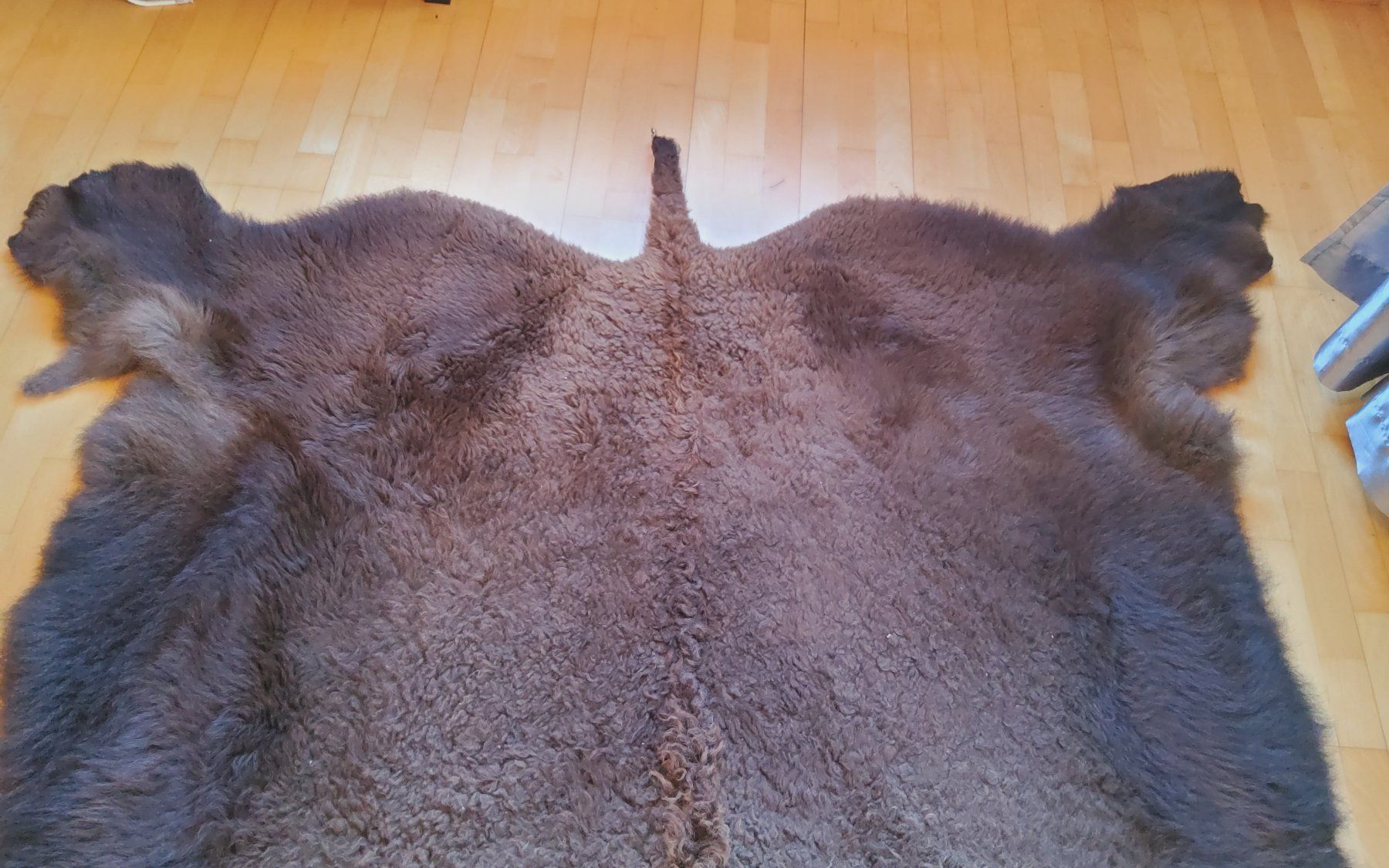 Monde des animaux: BisonFell (Echt) – Neuf (Voir description) à Ruggell par Tim-Werk 4