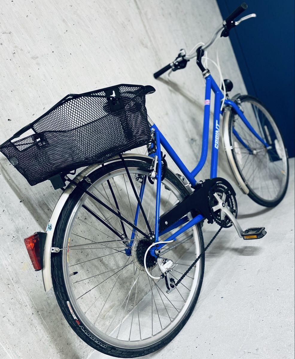Biciclette: Damen Velo – Usato da Zürich venduto da Bidon3011 2
