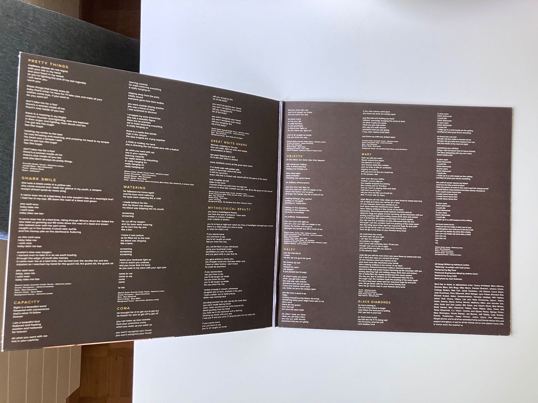 Dischi in vinile: Big Thief – Capacity LP – Usato da Luzern venduto da Madvibe 1