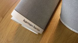 Harman Kardon Satelliten SAT-TS11 8 Ohm, grau/weiss, H24 cm