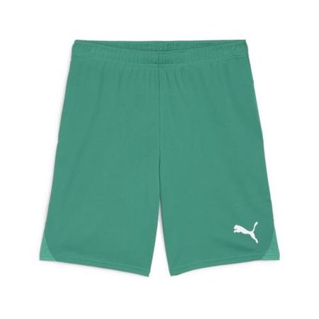 Puma teamGOAL Shorts - sport green (Grösse: M)