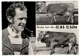 St. Gallen, Gruss von der OLMA, um 1960-65