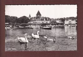 LAUSANNE - Château d'Ouchy - Cygnes - 1953