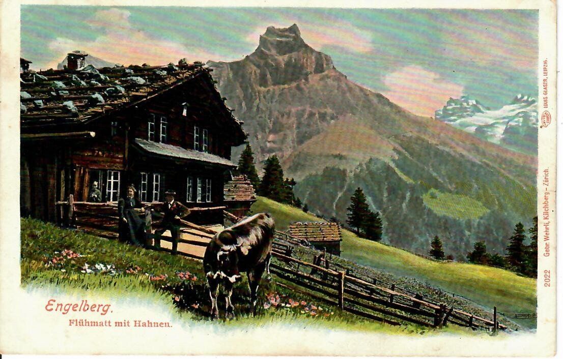 Cartes postales: Engelberg – D'occasion à Hochdorf par Ziegel-16