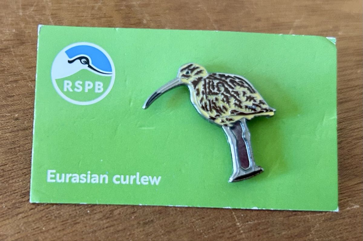 Placchette & Badge: RSPB Pin Grosser Brachvogel – Nuovo (secondo la descrizione) da Zürich venduto da ann_9fv5