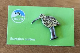 RSPB Pin Grosser Brachvogel