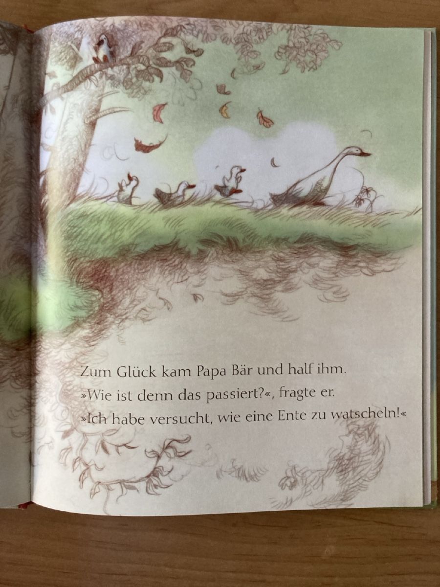 Libri: Oje, wo tuts weh, Edgar Bär? - Kinderbuch – Usato da Schüpfheim venduto da Seerose80 2