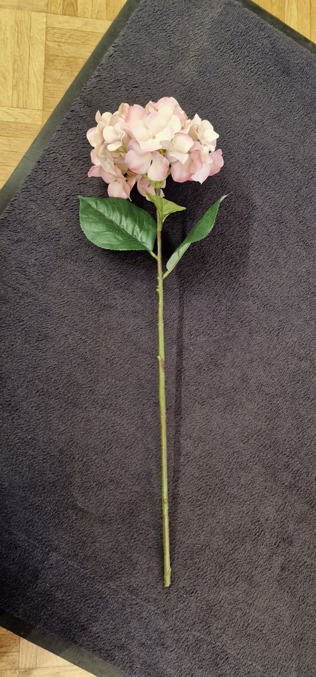 Piante & sementi: Deko Blume Rosa Hortensie mit Blättern – Nuovo e nell'imballaggio originale da Schaffhausen venduto da AtelierPudesco 1
