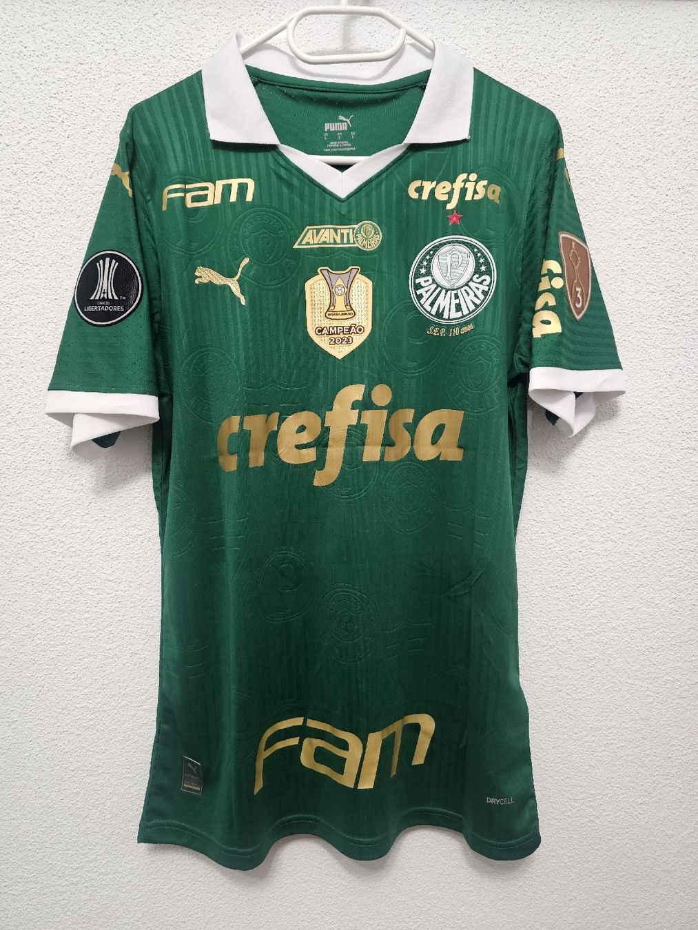 Canottiere & Pantaloni: Palmeiras Trikot 24/25 – Nuovo (secondo la descrizione) da Rickenbach LU venduto da LichterWelt
