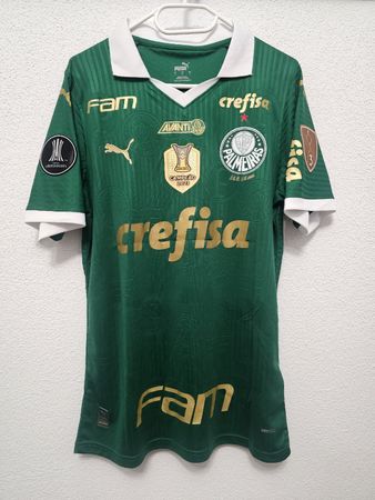 Palmeiras Trikot 24/25