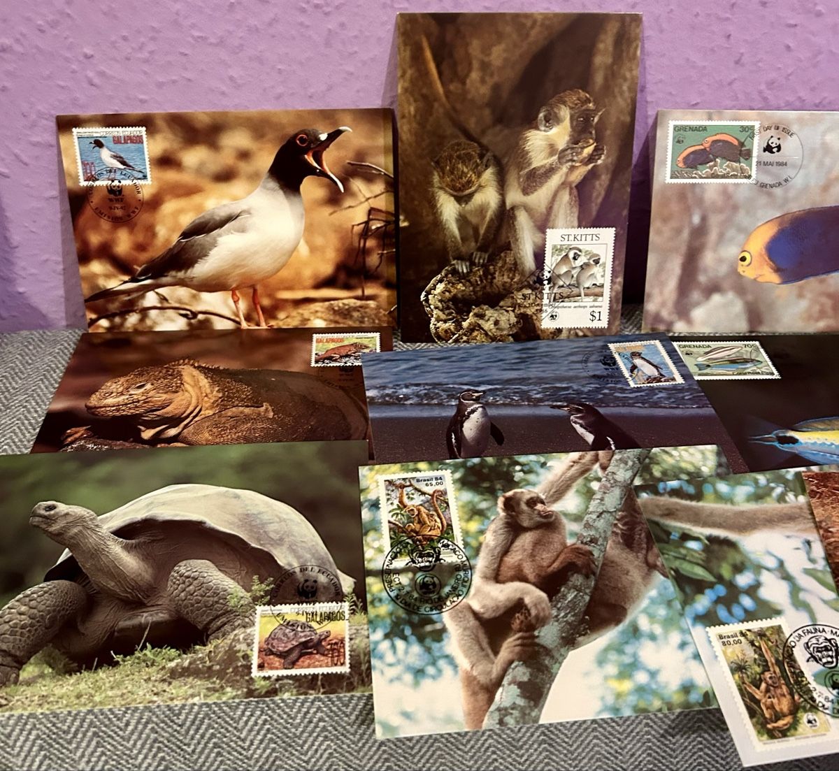 Tutti i francobolli: Lot de 21 cartes maximum – Usato da Petit-Lancy venduto da Pierre_le_voyageur 3