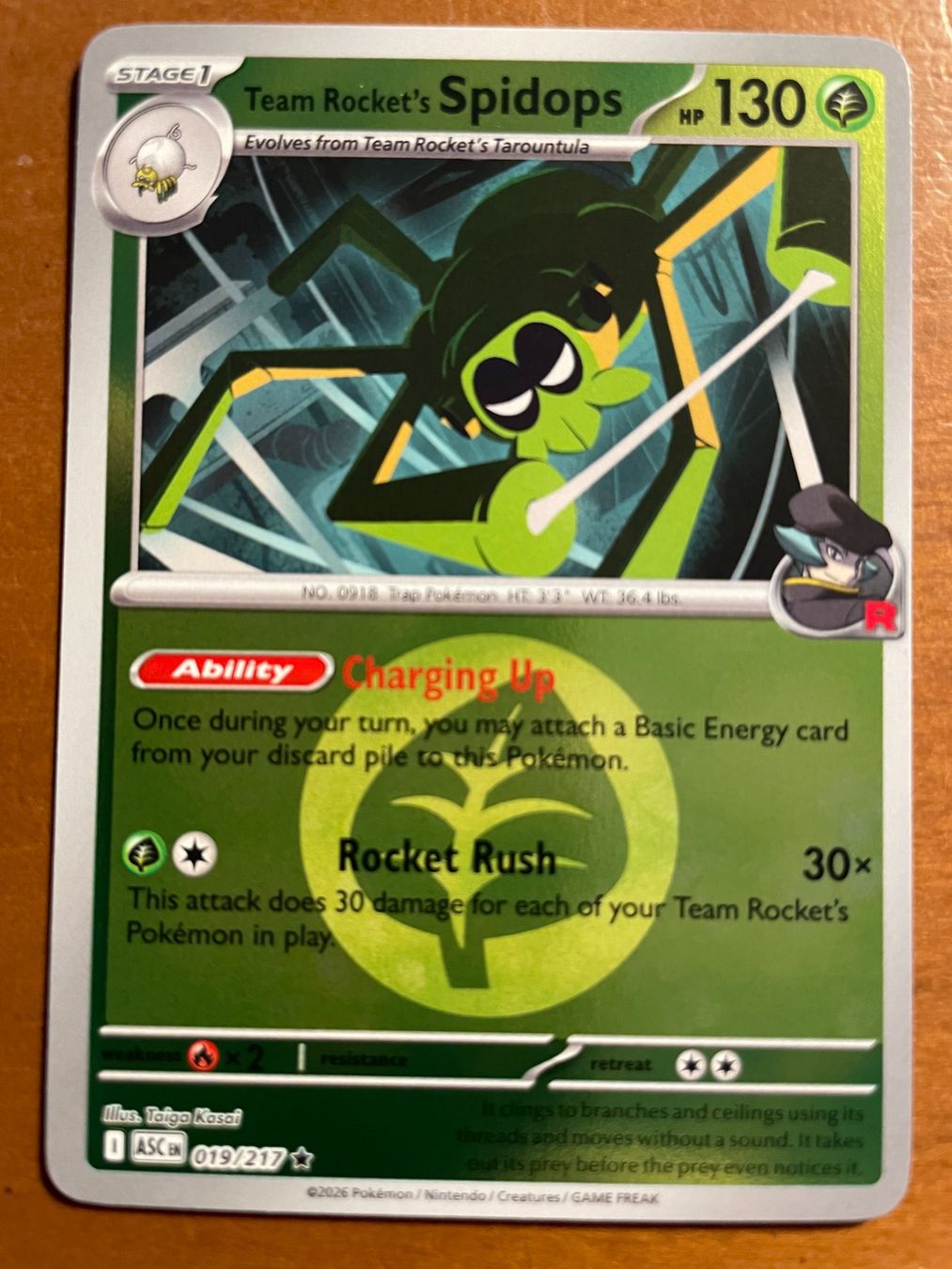 Pokémon Carte collezionabili: Pokemon Team Rocket's Spidops Reverse (Versand gratis) – Nuovo (secondo la descrizione) da Chur venduto da Angerson