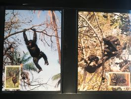 Sierra Leone 1983 Satz WWF Schimpanse Maximumkarten