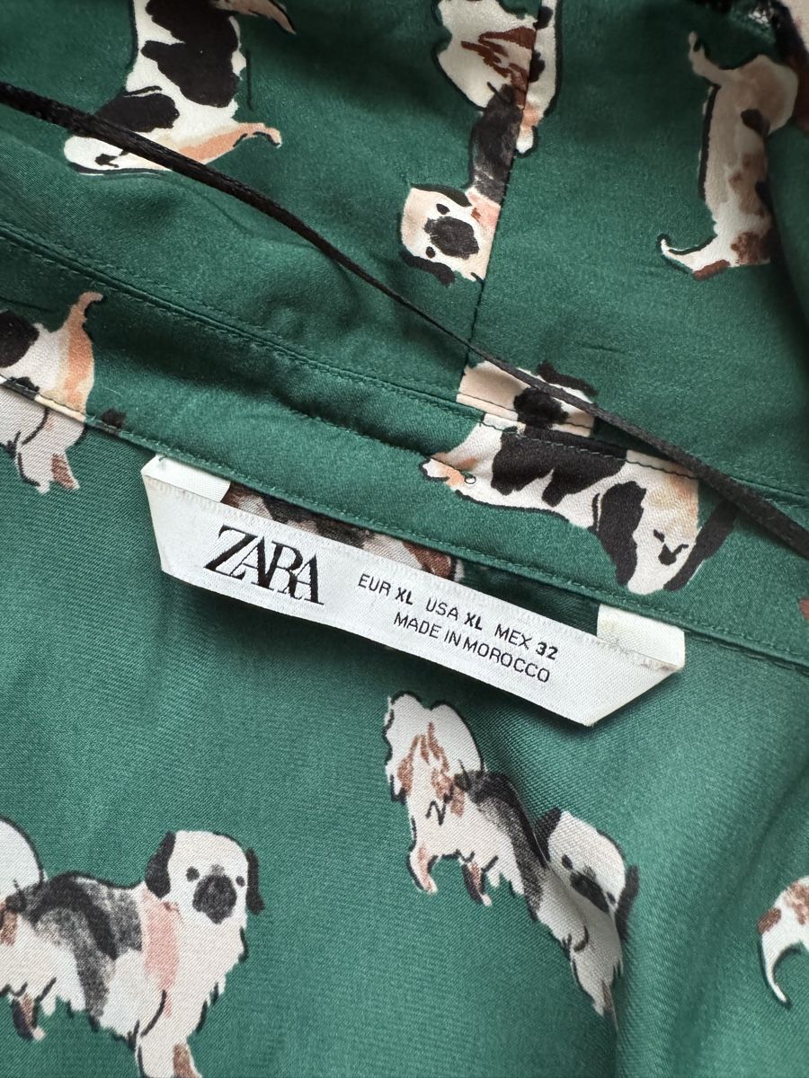 Zara Blusen: Zara Bluse – Neu (gemäss Beschreibung) aus Obfelden von cesarina10 9
