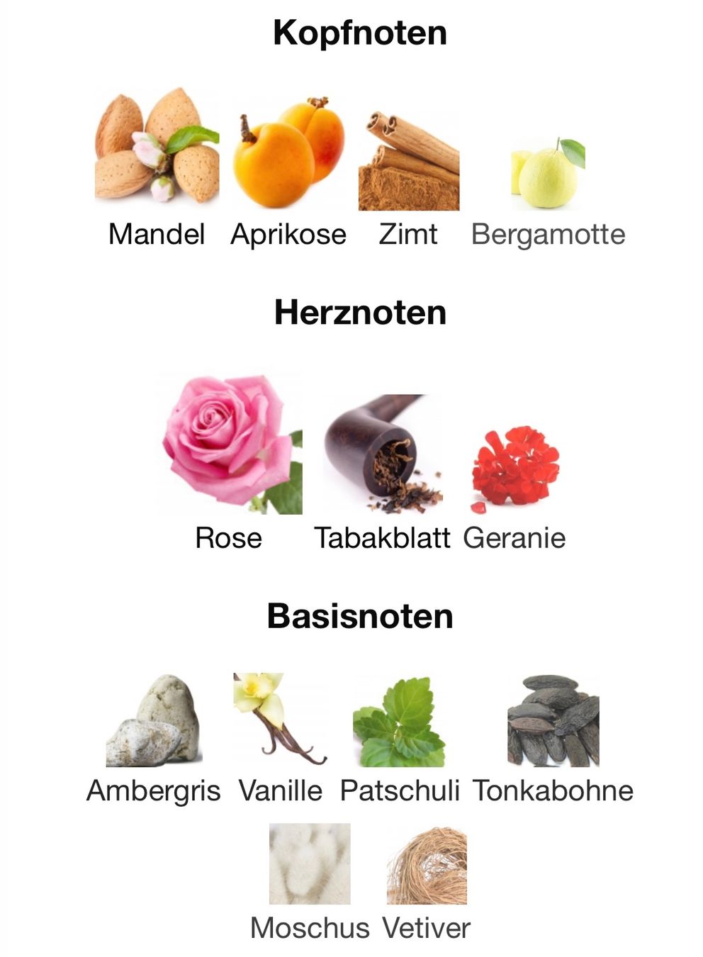 Profumi & Eau de Toilette: TAUER Phi Une Rose de Kandahar 2 ml Abfüllung – Nuovo (secondo la descrizione) da St. Gallen venduto da lfs_nxl8 3