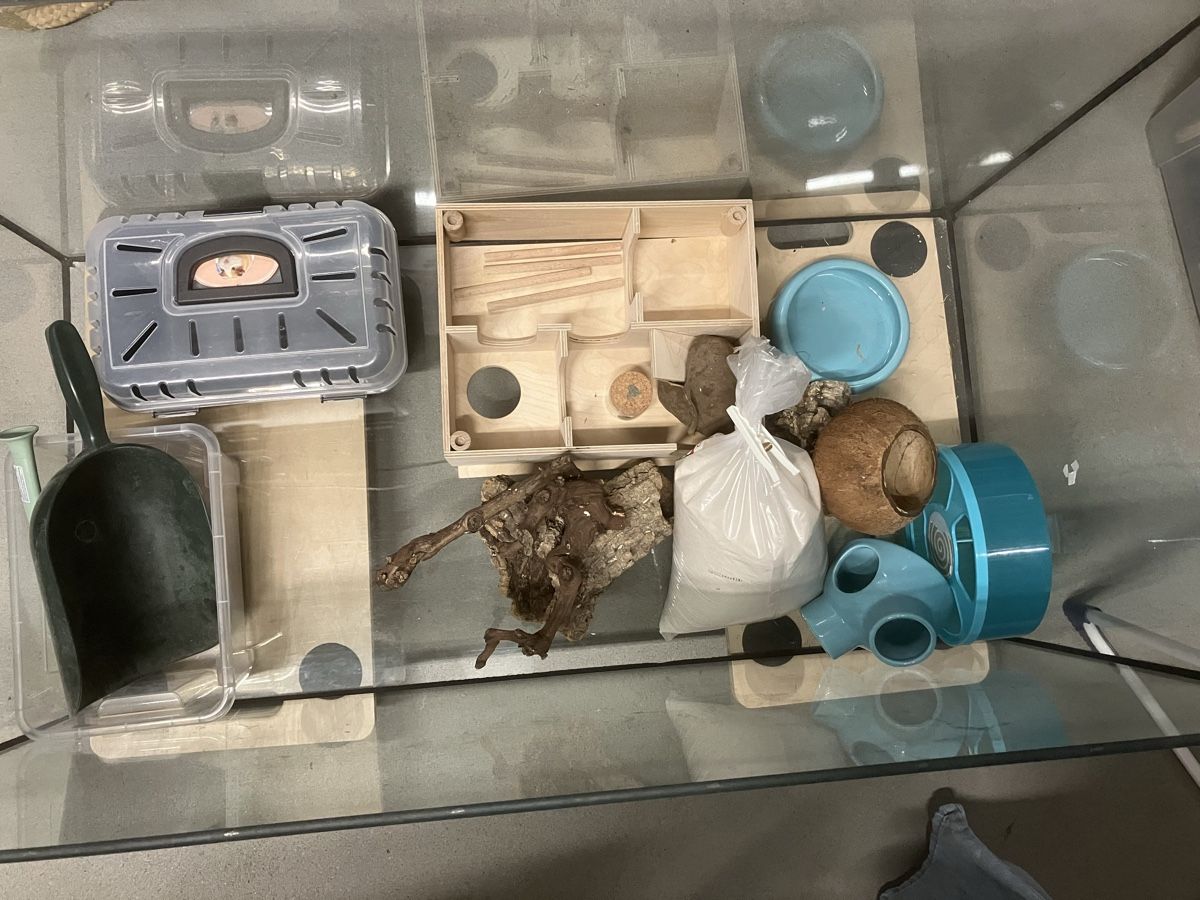 Terrario: Terrarium  – Usato da Schinznach Dorf venduto da rud_8kgx 1