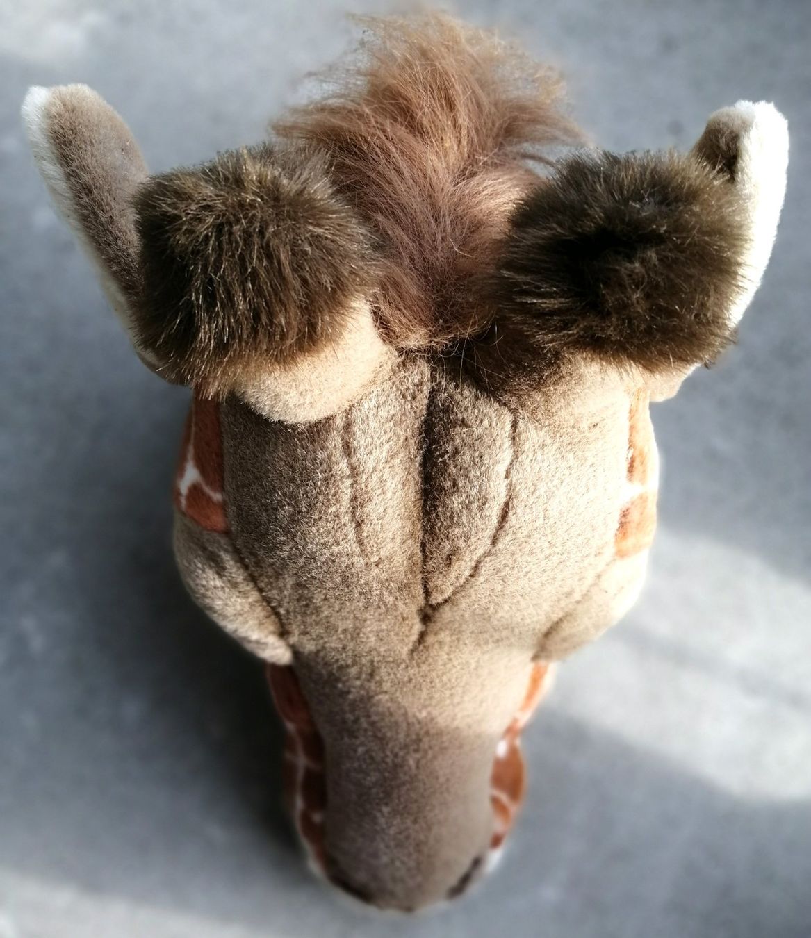 Tutte le decorazioni: Süssi Giraffe / Plüschtier - Wanddeko – Usato da Schaffhausen venduto da Domifran 4