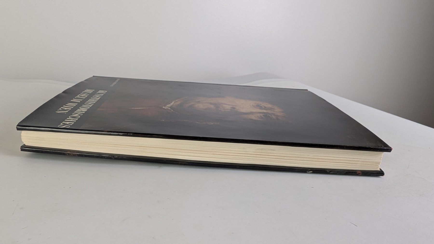 Libri: Kunsthistorisches Museum Wien - Rembrandt – Usato da Zürich venduto da axolottchen 4