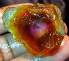 Edelstein L-7572 – Äthiopischer Feuer Opal 31X30X20MM 65.00