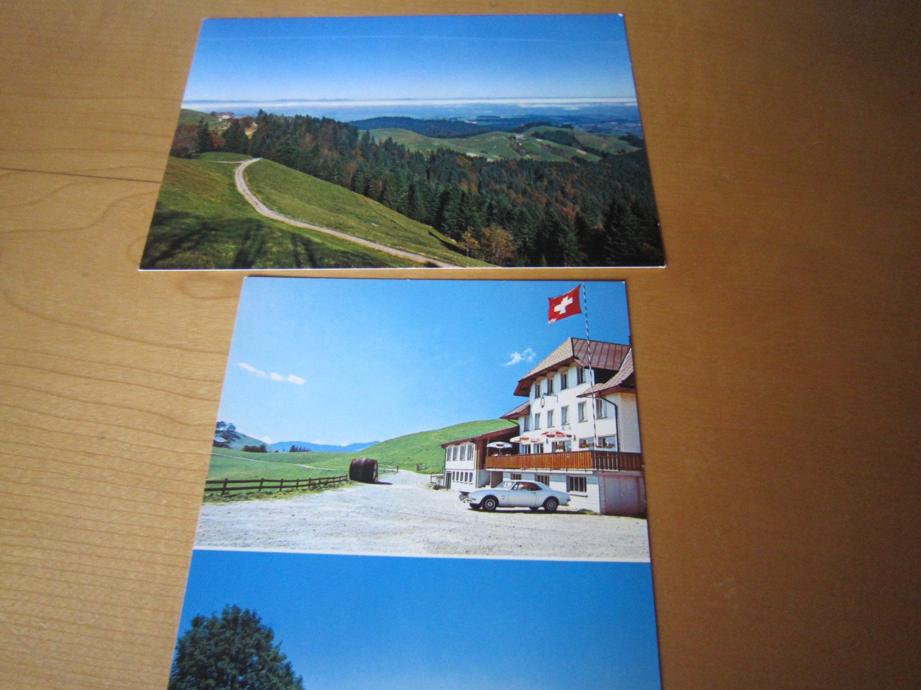 Cartoline postali: Schöne Postkarte AHORN ALP AB NUR 75 RP – Usato da Gordola venduto da Polentaefung 2