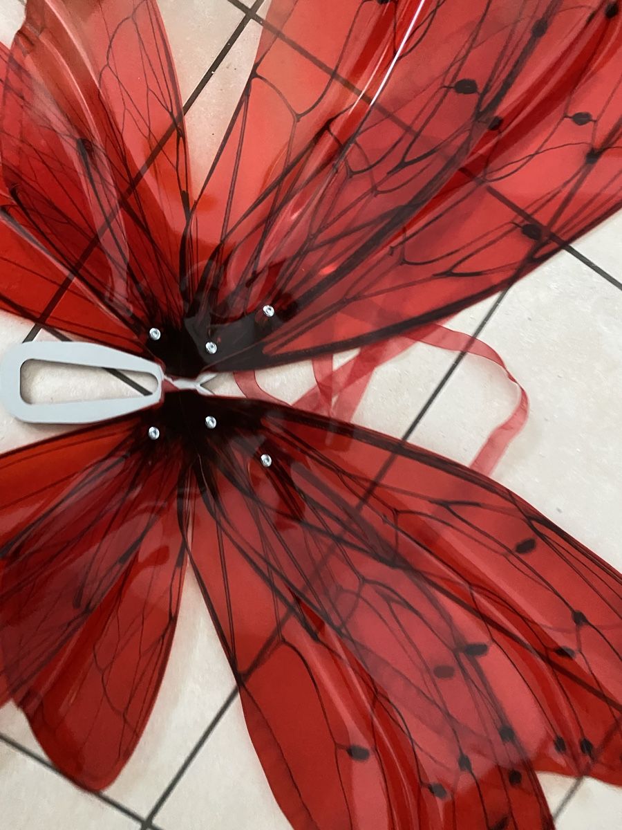 Kostüme: Shooting accessories / Cosplay / wings / Libellen Flügel – Gebraucht aus Olten von ale_nb2x 4