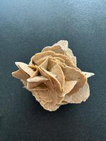 Wüstenrose Sandrose 12cm Deko Kristall Selenit Gips 3.1kg