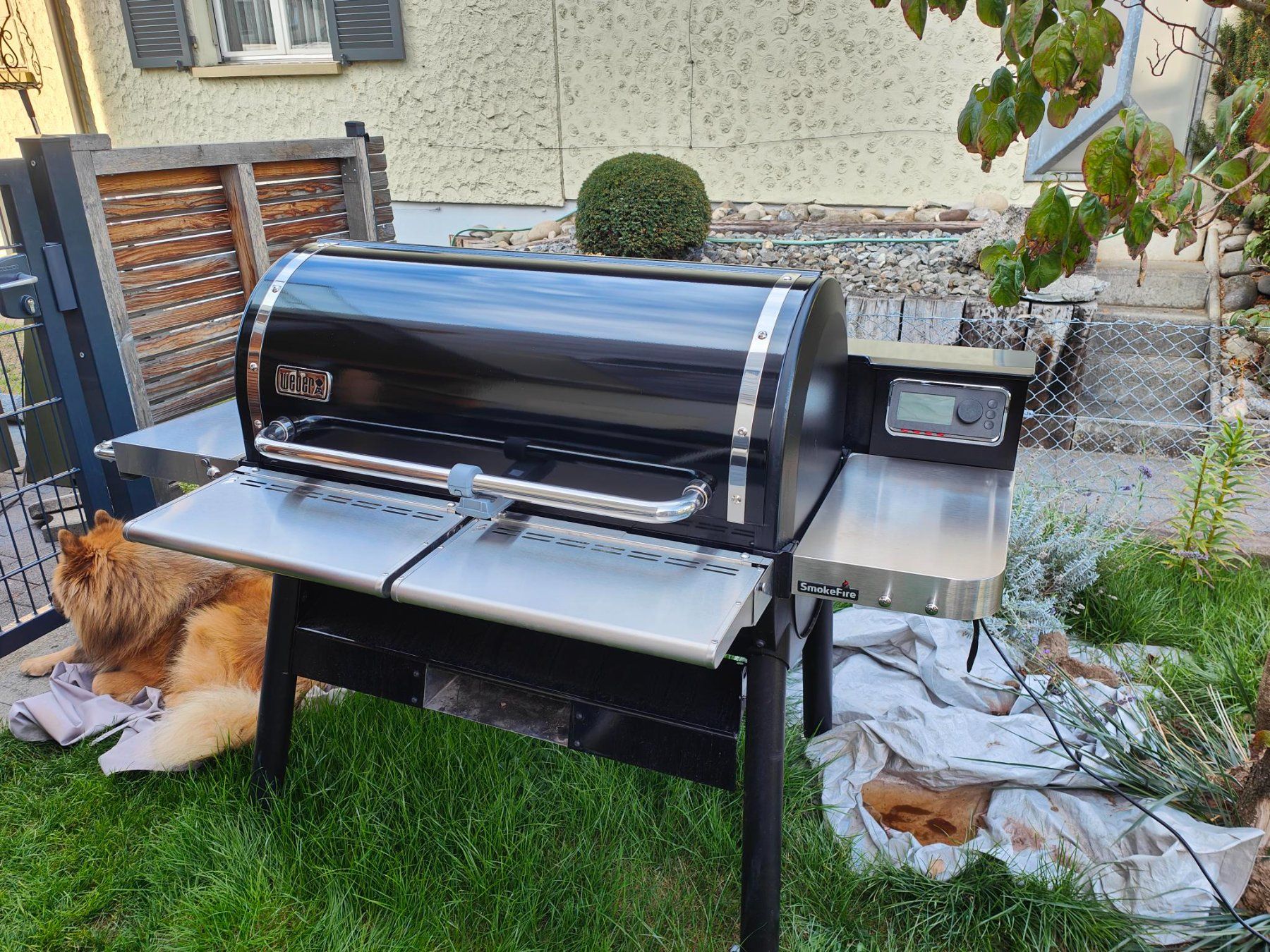 Weber Grils: Weber Smoke Fire EX6 – D'occasion à Dagmersellen par Priapos66 1
