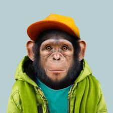 Profile image of buykay