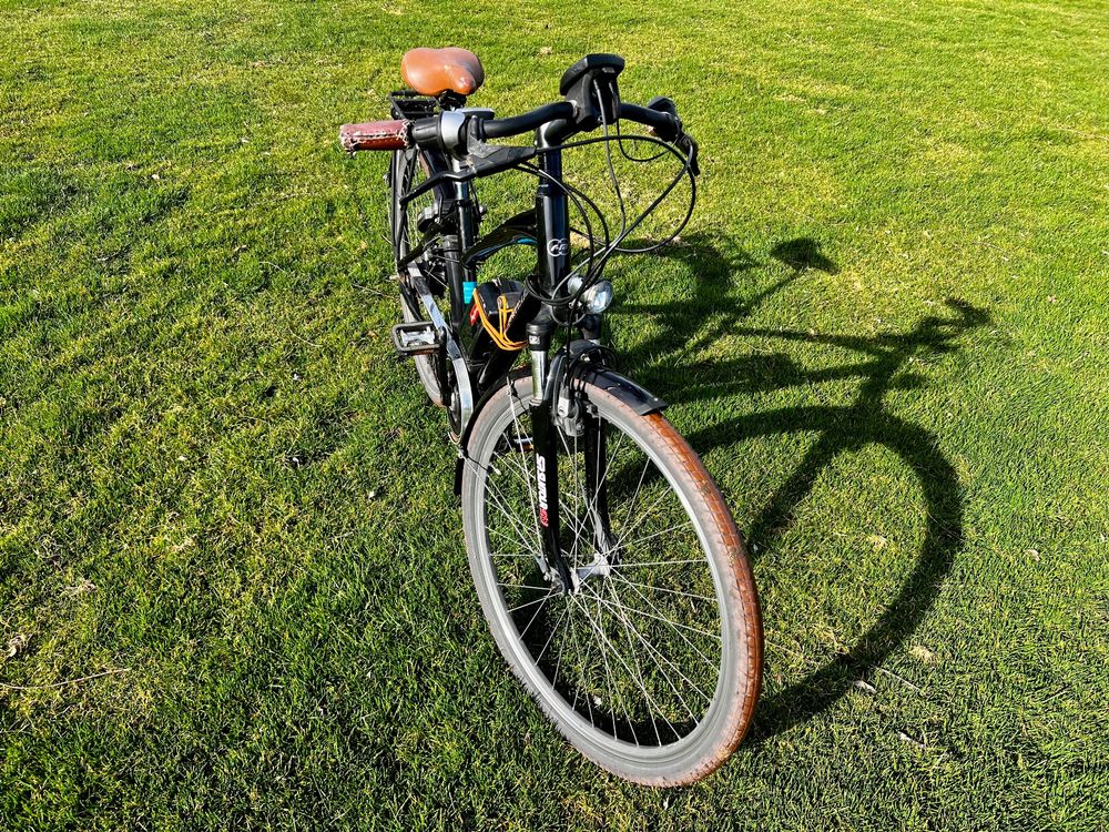 Riese + Müller blueLABEL Comfort E-Bike: Cruiser City Hybrid (Gebraucht ...