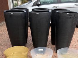 Pflanzgefässe Blumentöpfe Pflanzentopf Topf Pflanzen
