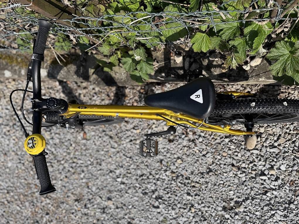 Biciclette: 16" Kindervelo Rascal Bikes Gold – Usato da Stäfa venduto da Tschimmen 4