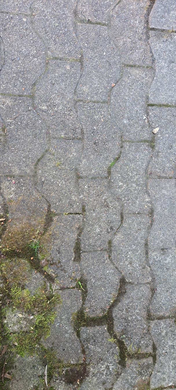 Rivestimenti per pavimenti: Verbundsteine – Usato da Bubikon venduto da Tempelrider 2