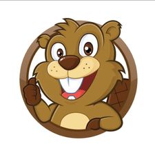 Profile image of castor01