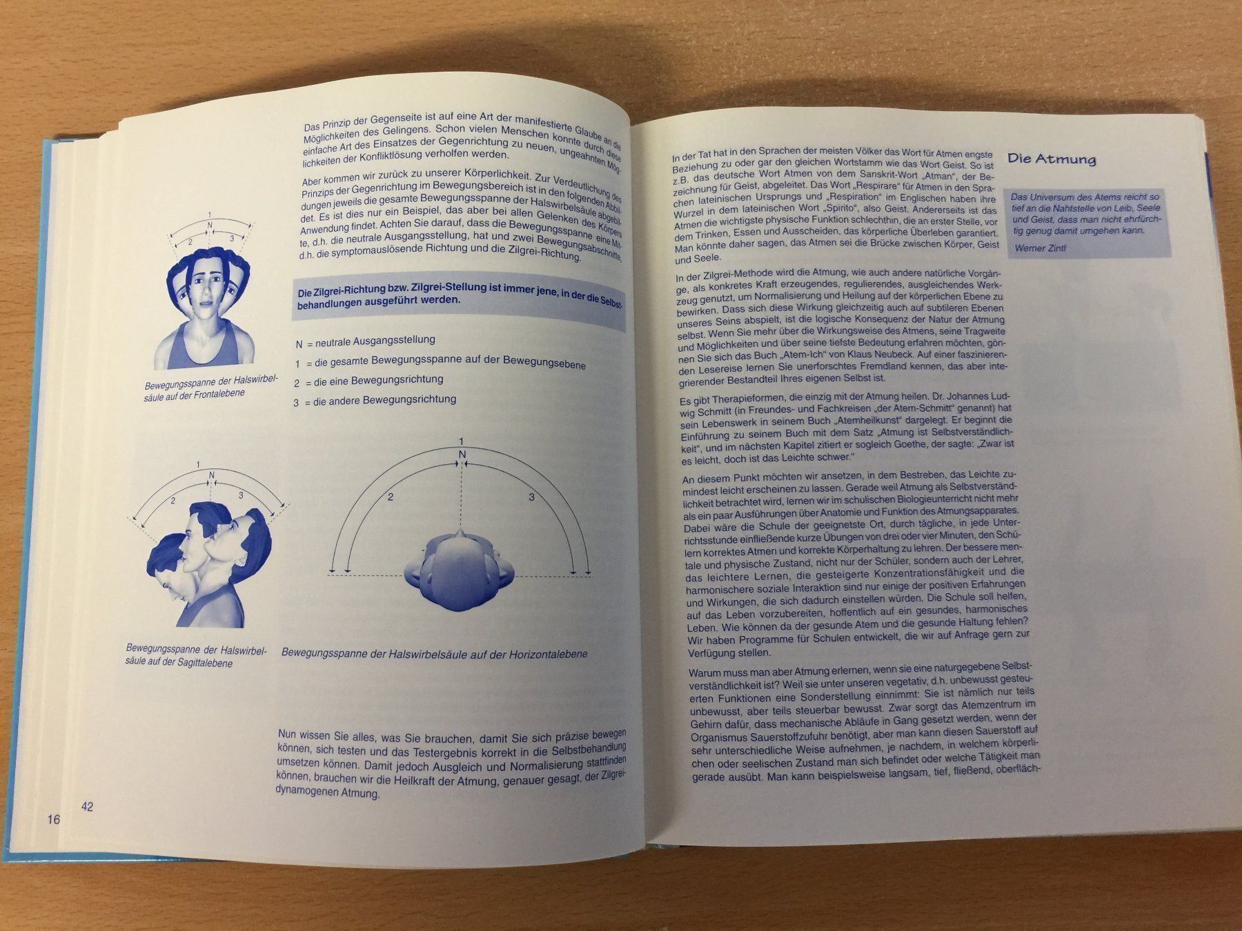 Libri: Neue Hoffnung ZILGREI – Usato da Glattfelden venduto da cybermaxx 6