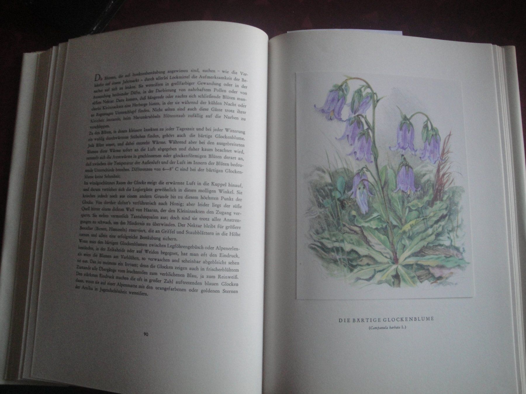 Libri: Bergblumen der Heimat – Nuovo (secondo la descrizione) da Zollikerberg venduto da Kui 4