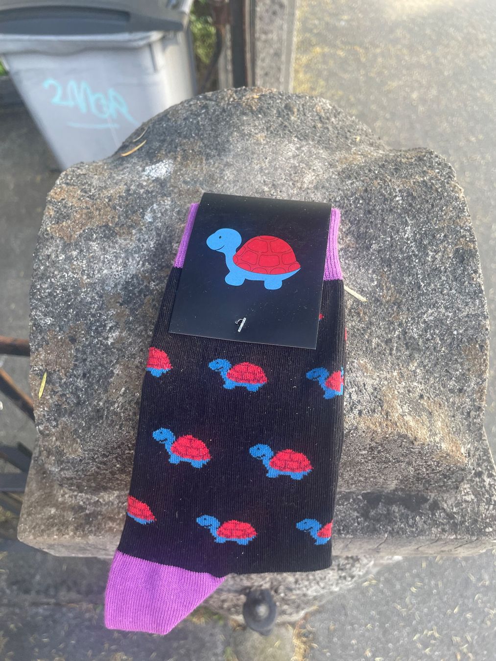 Socken: Socken mit Schildkröte – Neu und originalverpackt aus Zürich von dakel19